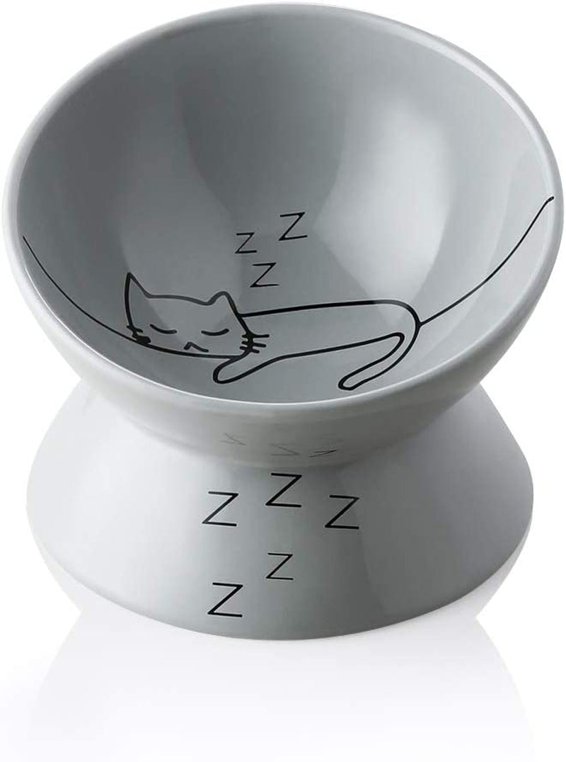 Elevated Ceramic Cat Bowls - Slanted Design for Stress-Free Eating & Drinking, Protects Cat's Spine (Pink)