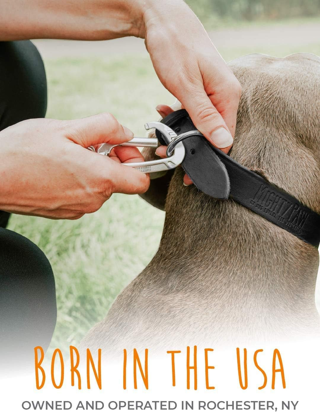 Genuine Distressed Leather Dog Collar - Stylish & Comfortable - Durable Metal Buckle - Perfect for All Breeds (Medium - Black)
