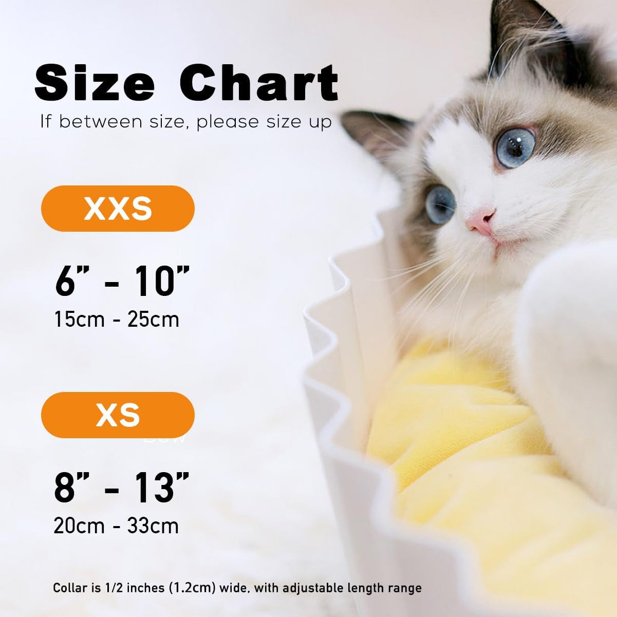 Charming Sushi Cat Collar Bow Set - Breakaway Safety Collar & Bowtie for Kittens - Perfect for Weddings & Birthdays!