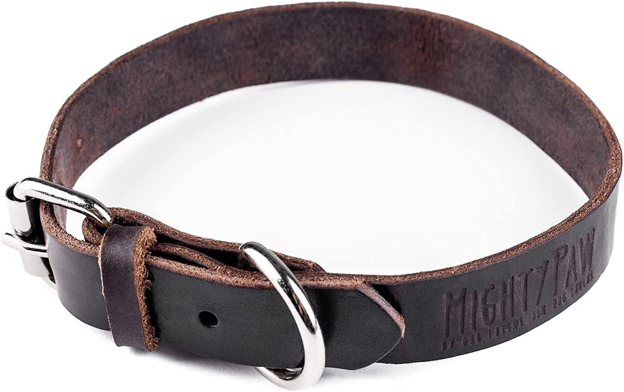 Genuine Distressed Leather Dog Collar - Stylish & Comfortable - Durable Metal Buckle - Perfect for All Breeds (Medium - Black)