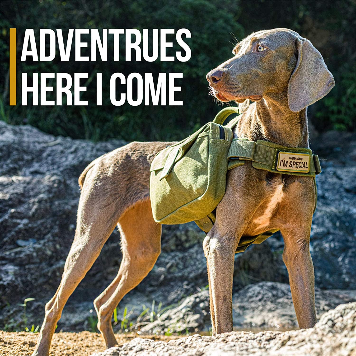 Ultimate Large Dog Hiking Backpack - Durable Saddle Bag for Adventurous Medium & Large Dogs - Ideal for Camping & Travel (Ranger Green)