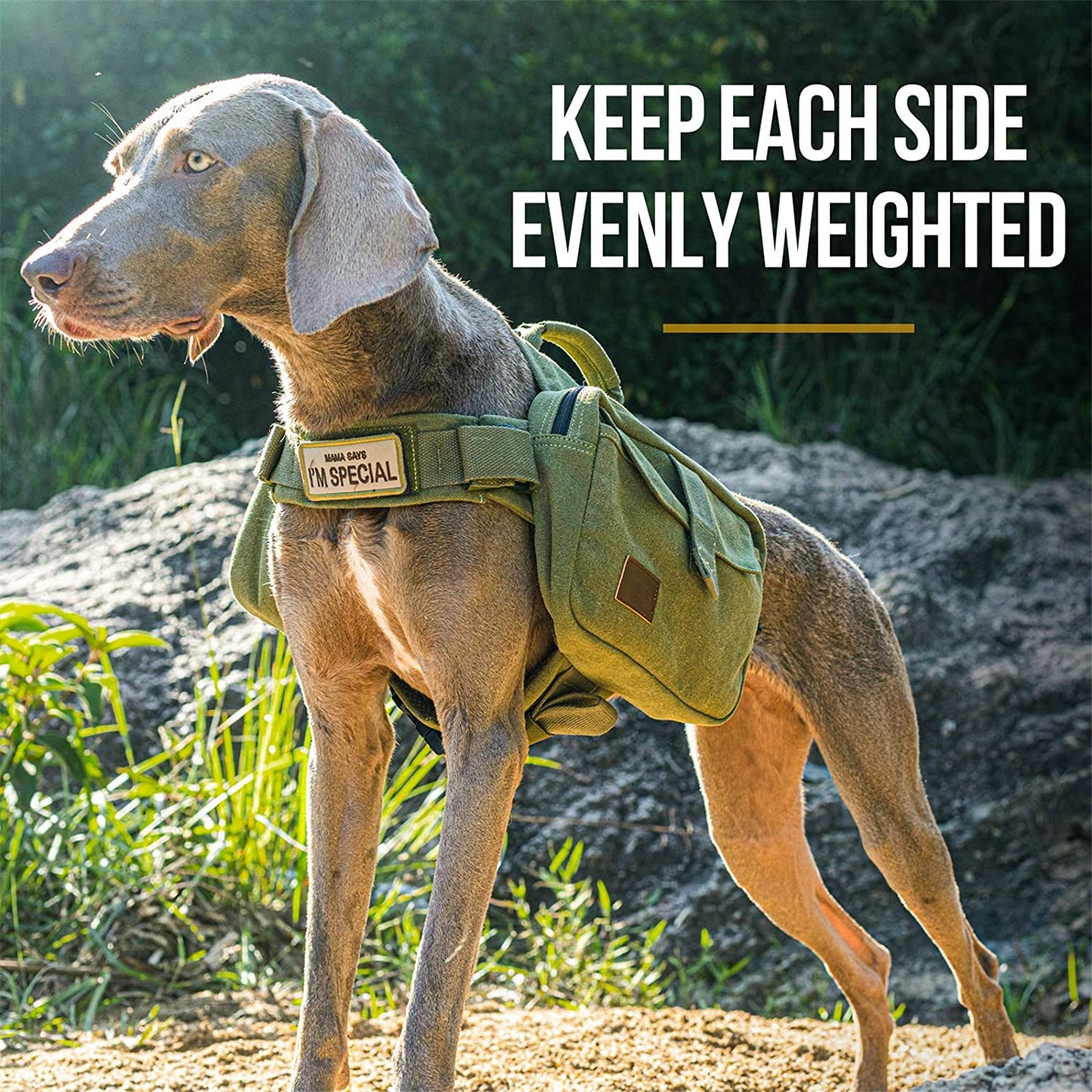 Ultimate Large Dog Hiking Backpack - Durable Saddle Bag for Adventurous Medium & Large Dogs - Ideal for Camping & Travel (Ranger Green)
