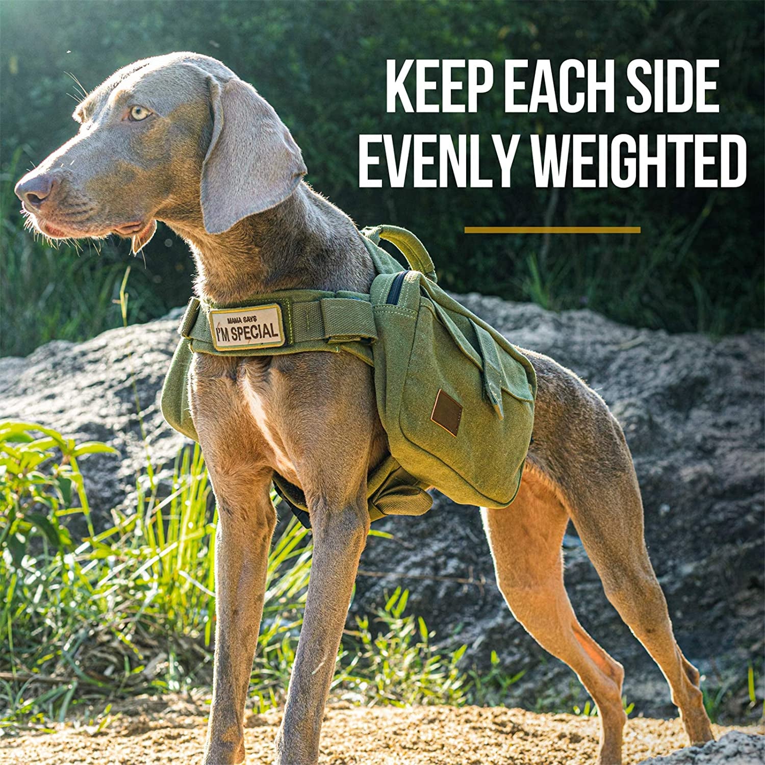 Ultimate Large Dog Hiking Backpack - Durable Saddle Bag for Adventurous Medium & Large Dogs - Ideal for Camping & Travel (Ranger Green)