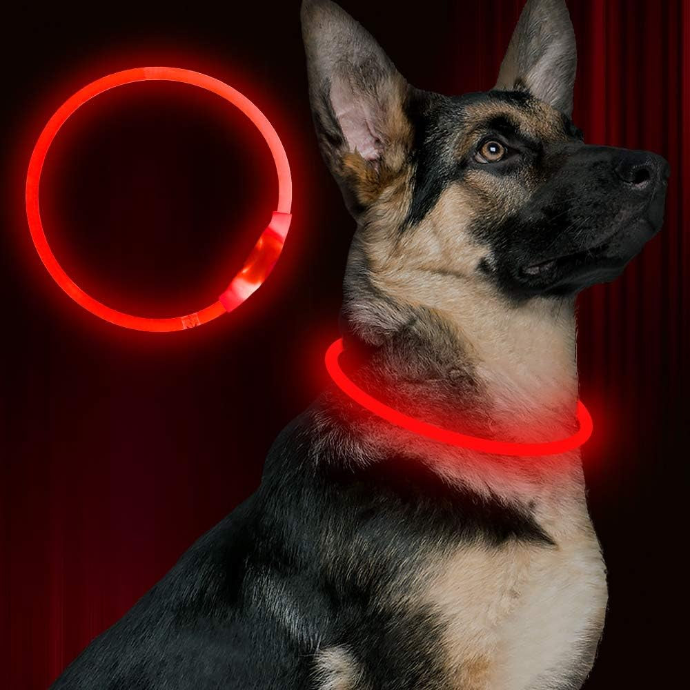 USB Rechargeable LED Dog Collar - Night Safety Light for Small, Medium & Large Dogs (Green)
