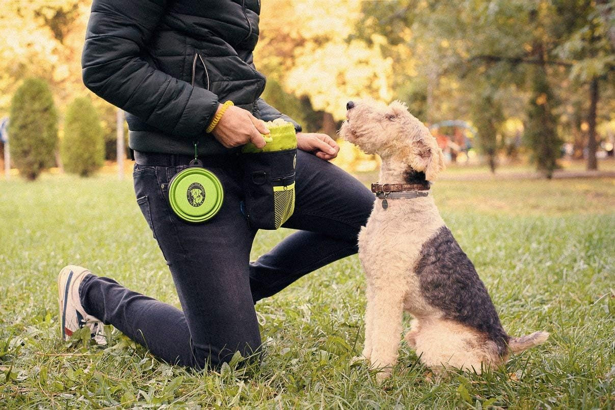 Ultimate Dog Training Treat Pouch with Poop Bag Dispenser, Pro Clicker, Collapsible Bowl & Reflective Strap - Black/Green