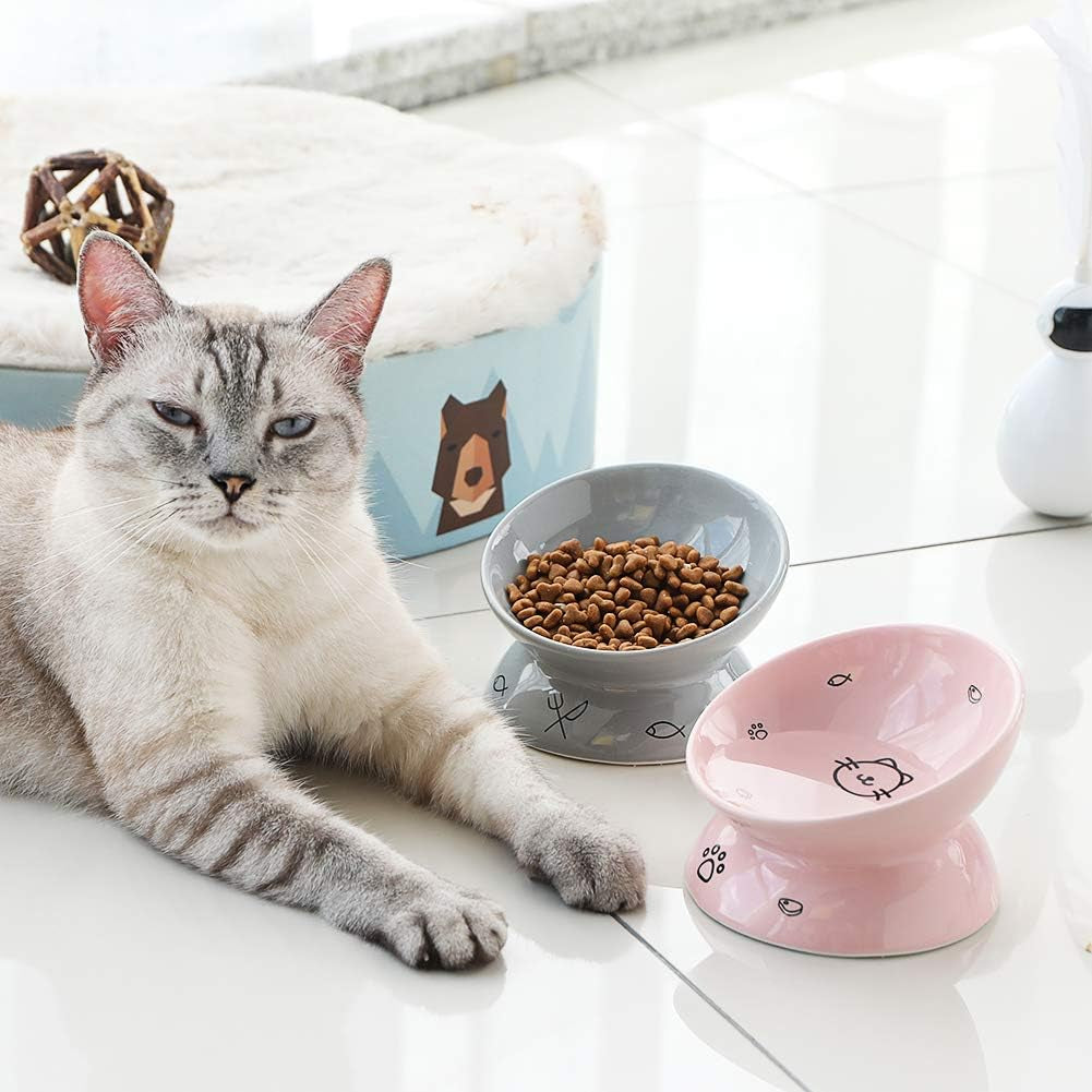Elevated  Ceramic Cat Bowls - Slanted Design for Stress-Free Eating & Drinking, Protects Cat's Spine (Pink)