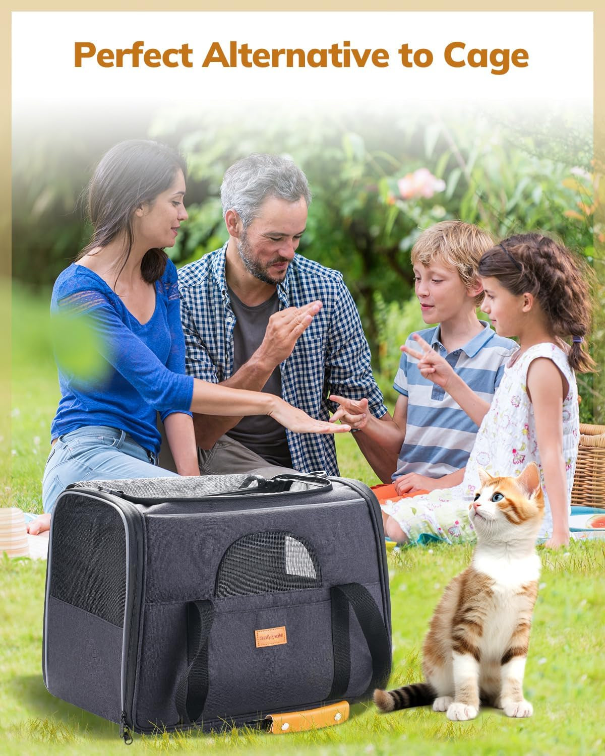 Soft Cat Carrier for Medium to Large Cats - Comfortable & Secure with Dual-Sided Cushion, Buckle & Foldable Bowl - Ideal for Small Dogs (Dark Gray)