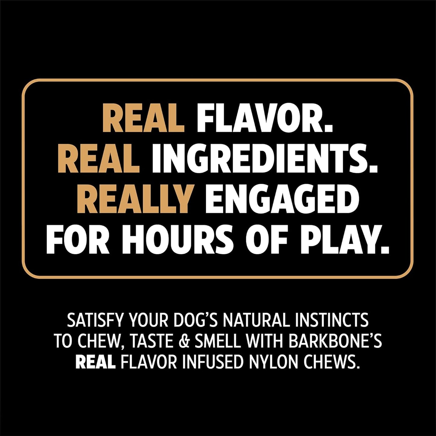 Dino Bacon Bone Chew Toy - The Ultimate Tough Nylon Bone for Aggressive Chewers - 11 Inches of Fun!