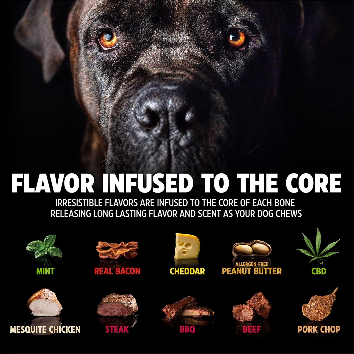 Dino Bacon Bone Chew Toy - The Ultimate Tough Nylon Bone for Aggressive Chewers - 11 Inches of Fun!