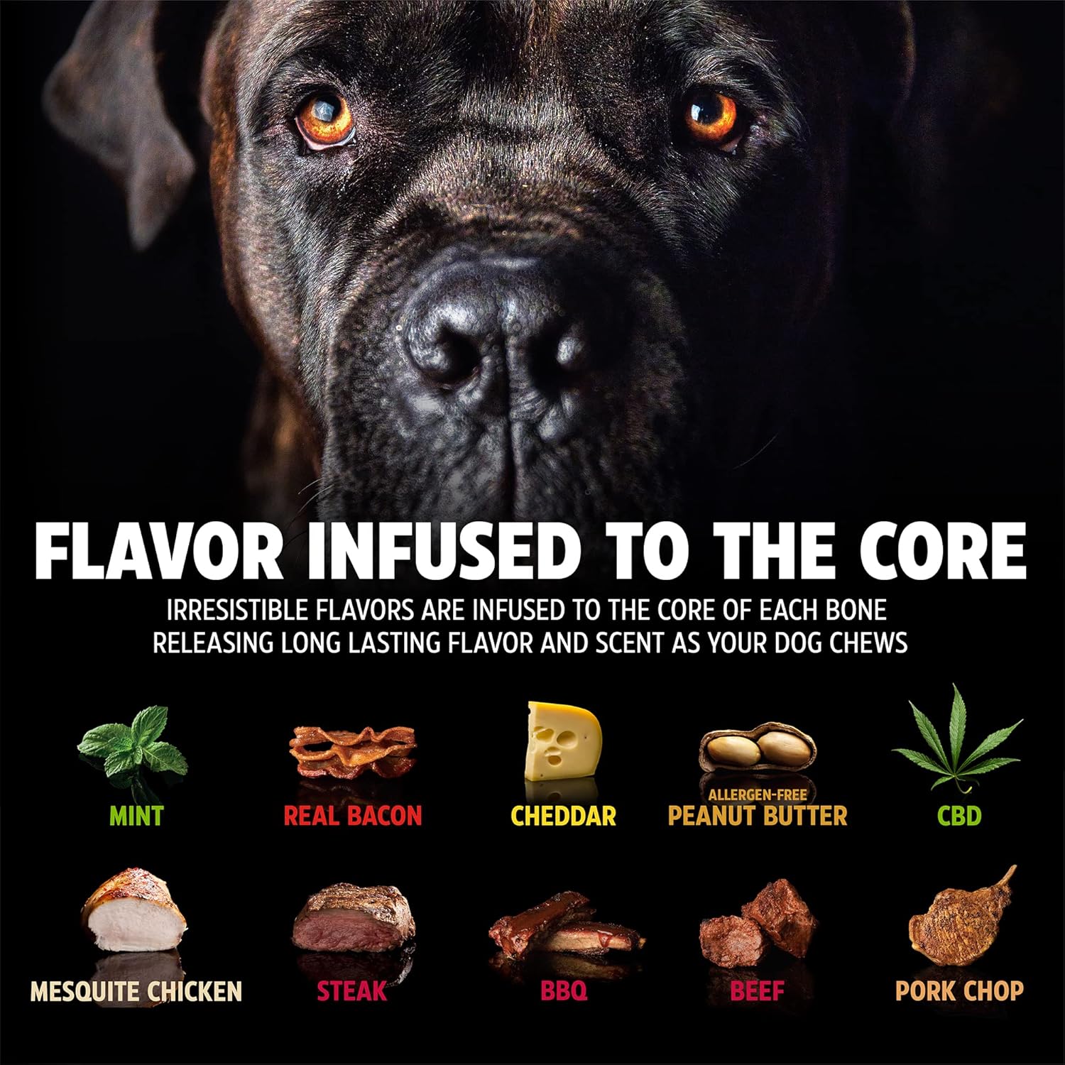 Dino Bacon Bone Chew Toy - The Ultimate Tough Nylon Bone for Aggressive Chewers - 11 Inches of Fun!