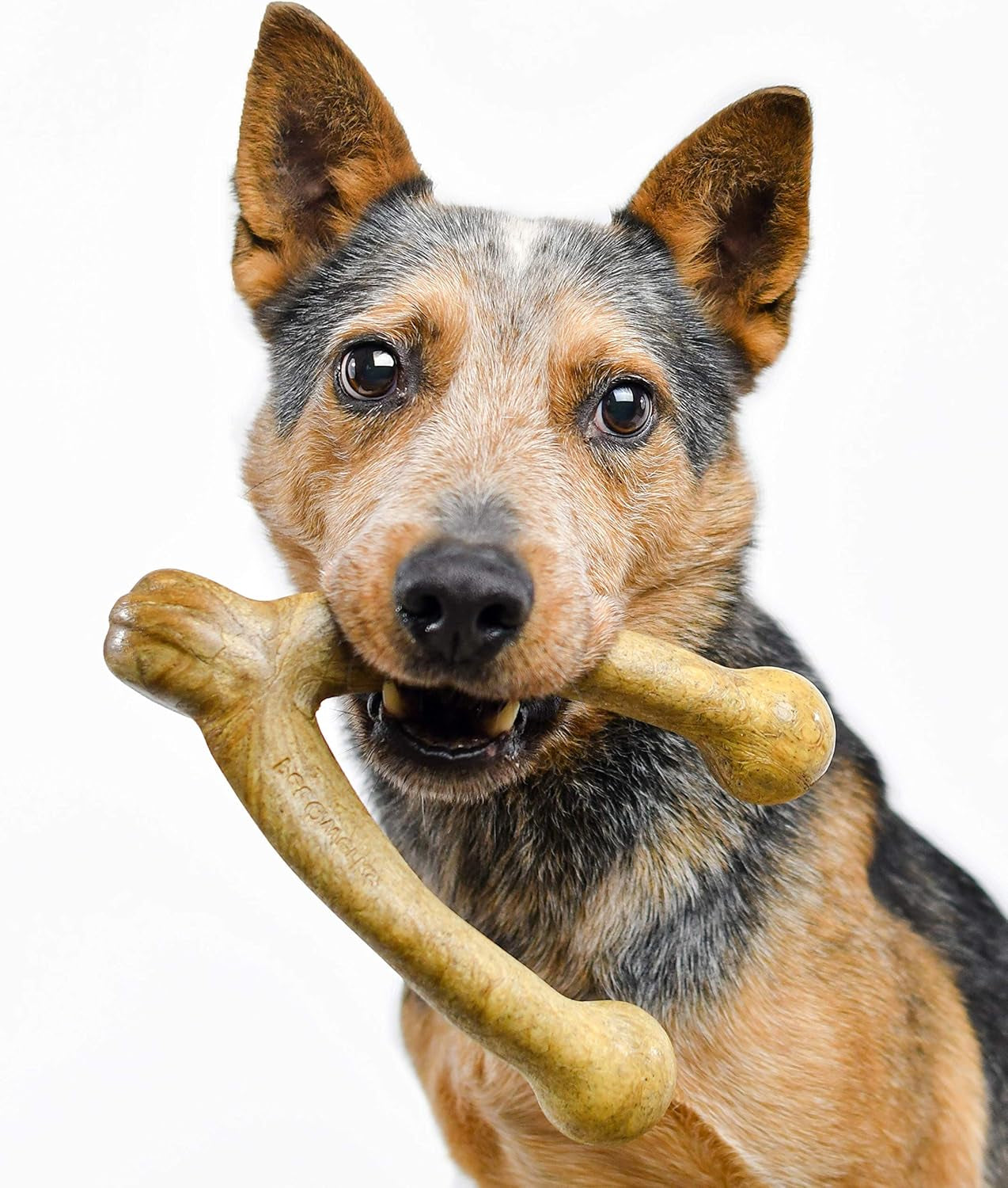 Wishbone Barkbone - Durable Nylon Chew Toy for Aggressive Chewers - Irresistible Peanut Butter Flavor - 5.38