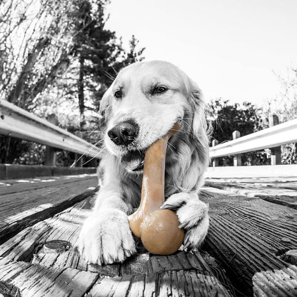 Dino Bacon Bone Chew Toy - The Ultimate Tough Nylon Bone for Aggressive Chewers - 11 Inches of Fun!
