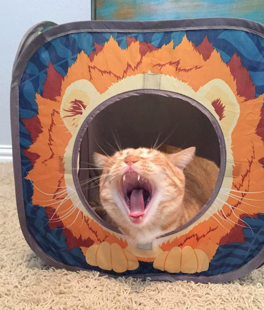 Safari Jungle Collapsible Cat Toy Combo - Ultimate Fun for Your Feline!