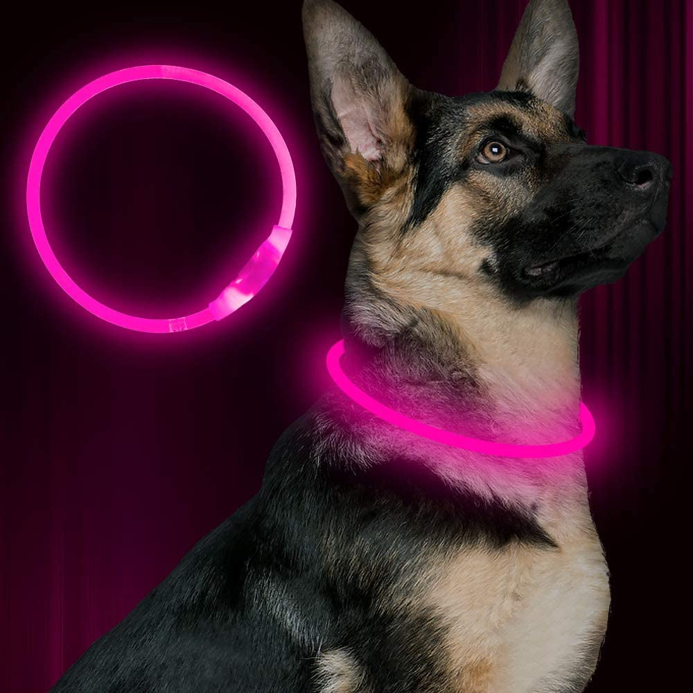 USB Rechargeable LED Dog Collar - Night Safety Light for Small, Medium & Large Dogs (Green)