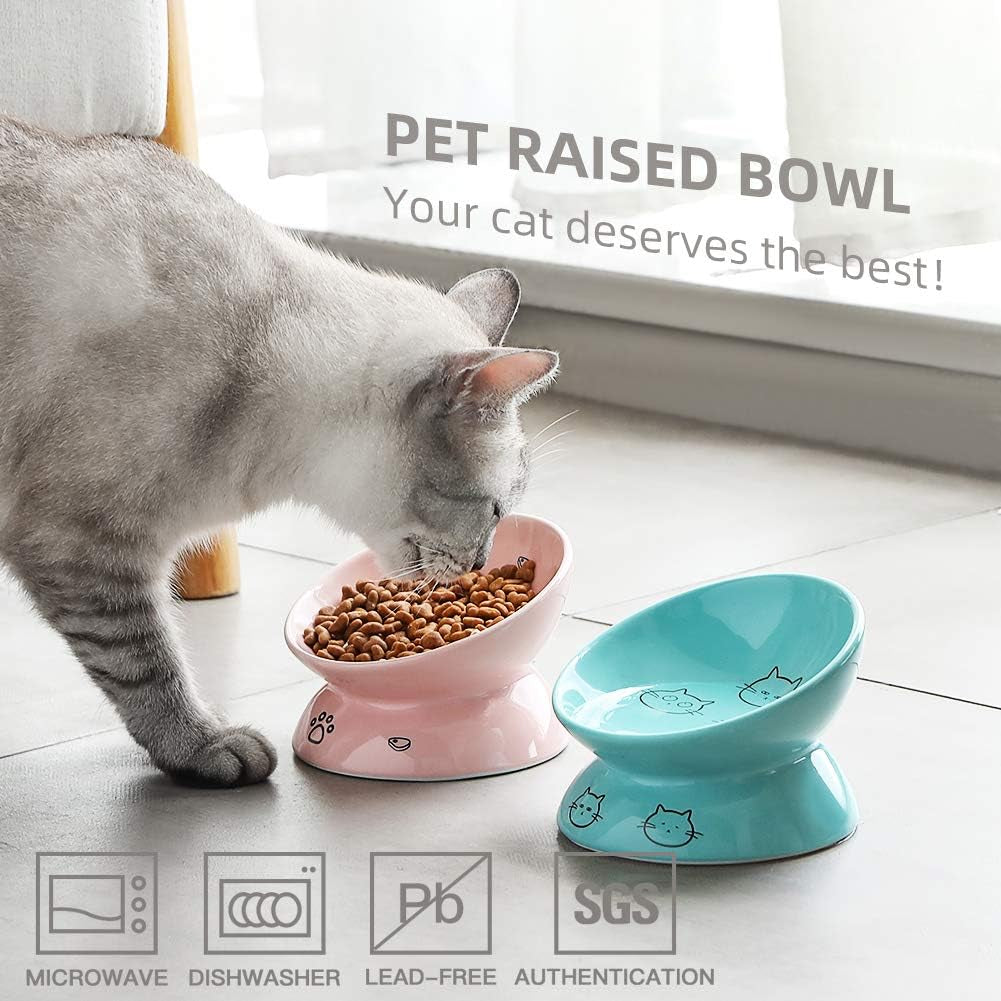 Elevated  Ceramic Cat Bowls - Slanted Design for Stress-Free Eating & Drinking, Protects Cat's Spine (Pink)