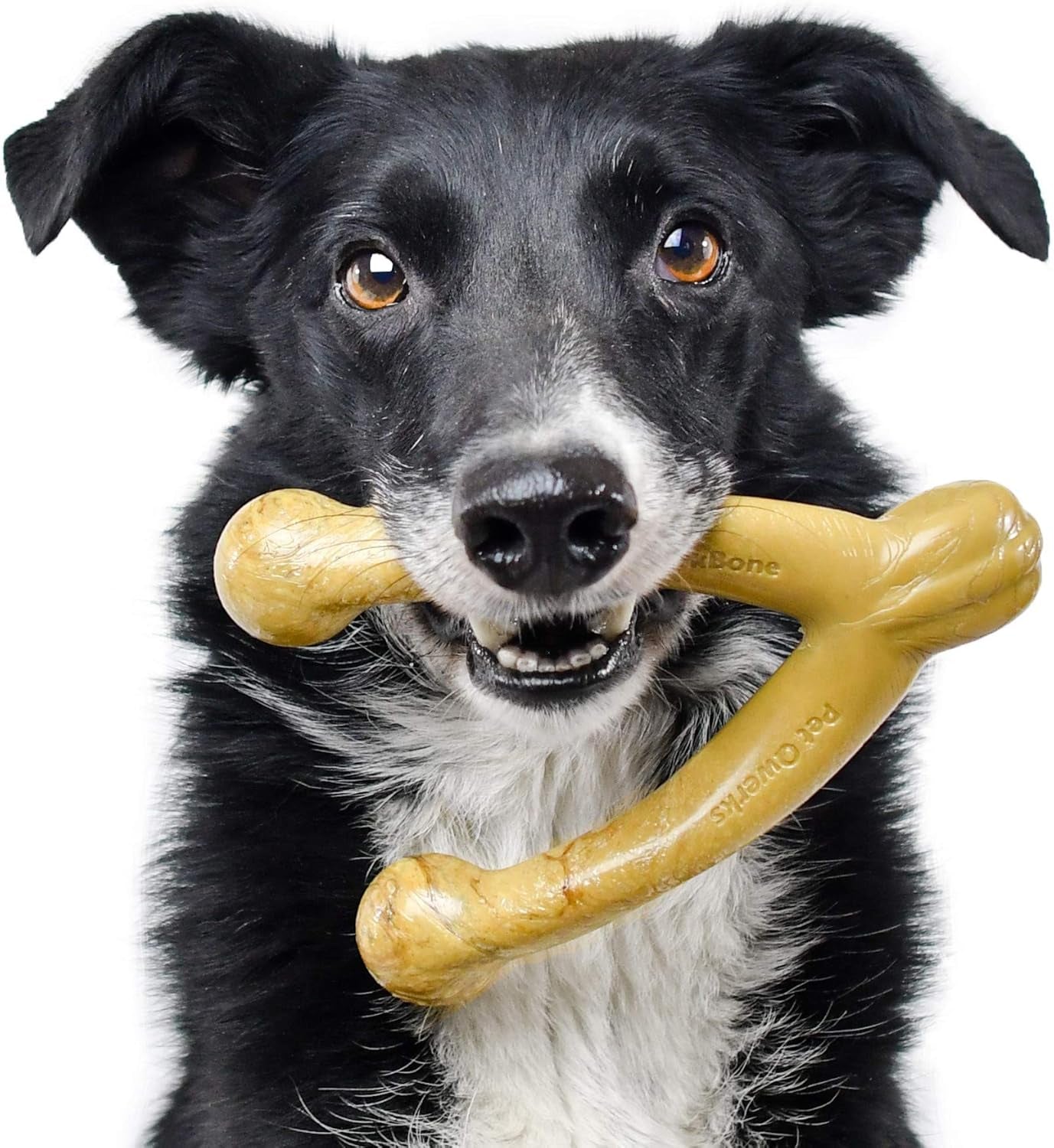 Wishbone Barkbone - Durable Nylon Chew Toy for Aggressive Chewers - Irresistible Peanut Butter Flavor - 5.38
