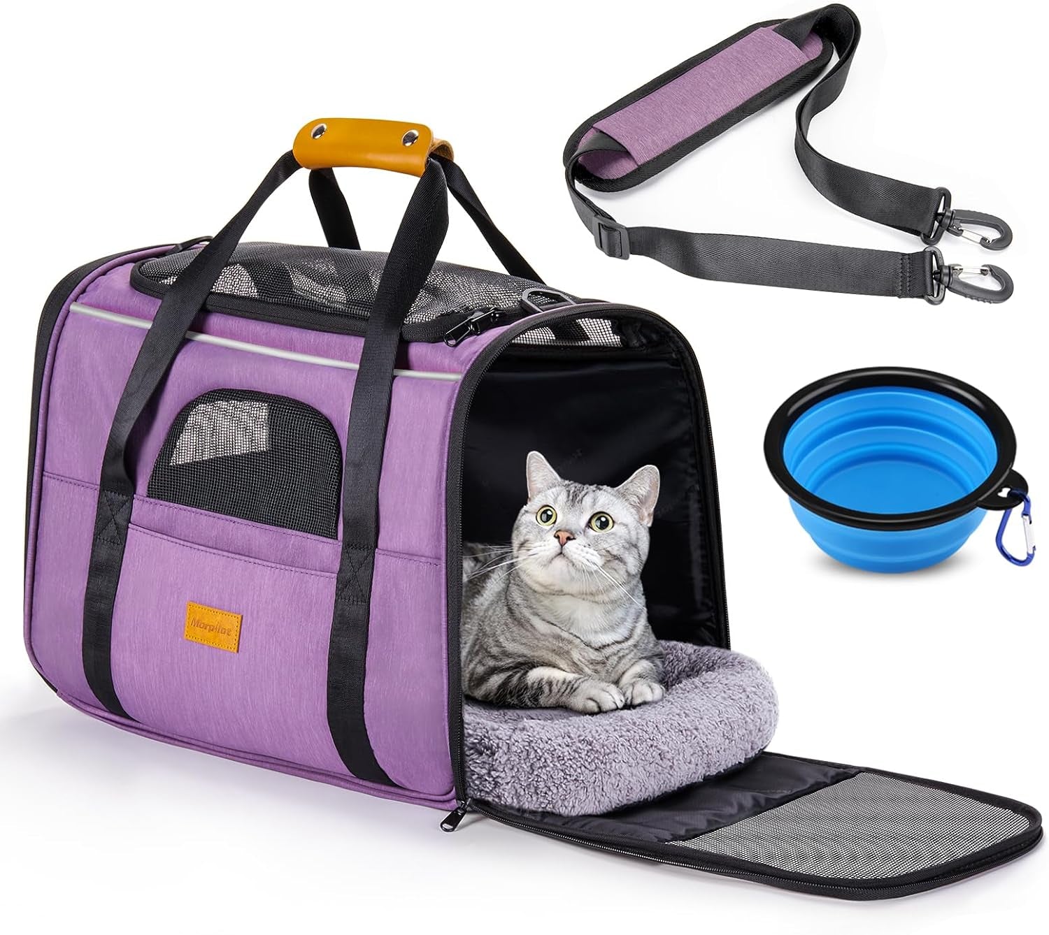 Soft Cat Carrier for Medium to Large Cats - Comfortable & Secure with Dual-Sided Cushion, Buckle & Foldable Bowl - Ideal for Small Dogs (Dark Gray)