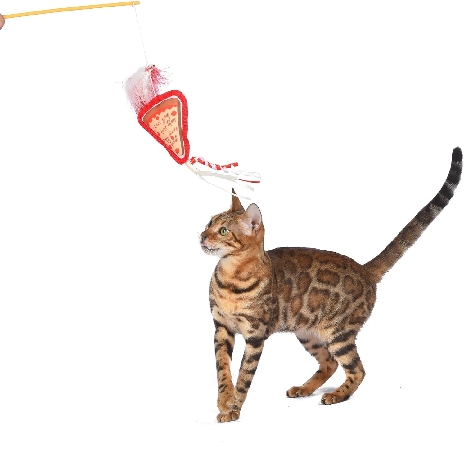 Joey's Pizza Catnip Wand - Interactive Feather Teaser Toy for Cats with Ribbons and Catnip for Fun Exercise!