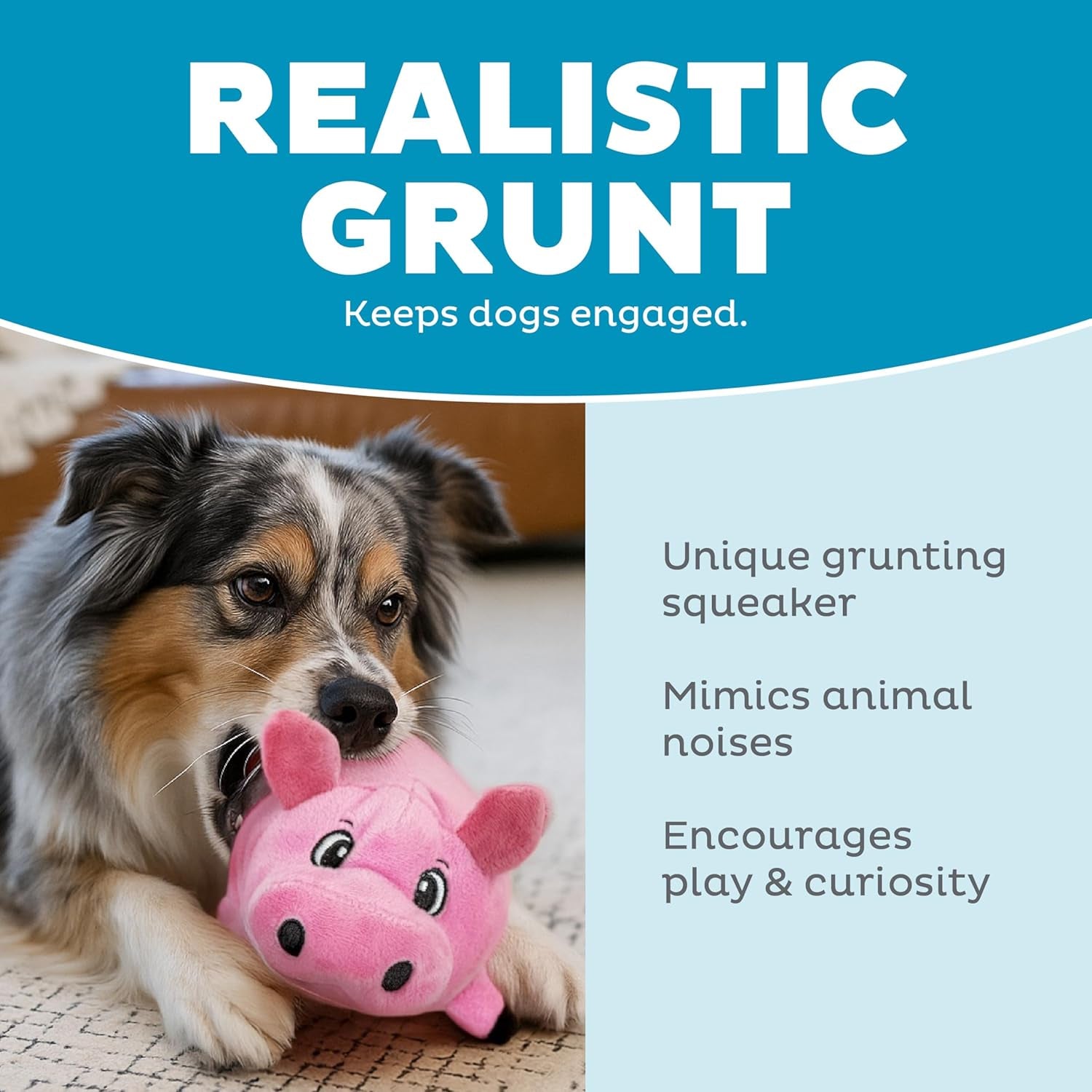 Exciting Fattiez Squeaky Pig Plush Toy - Perfect Playmate for Small Dogs!