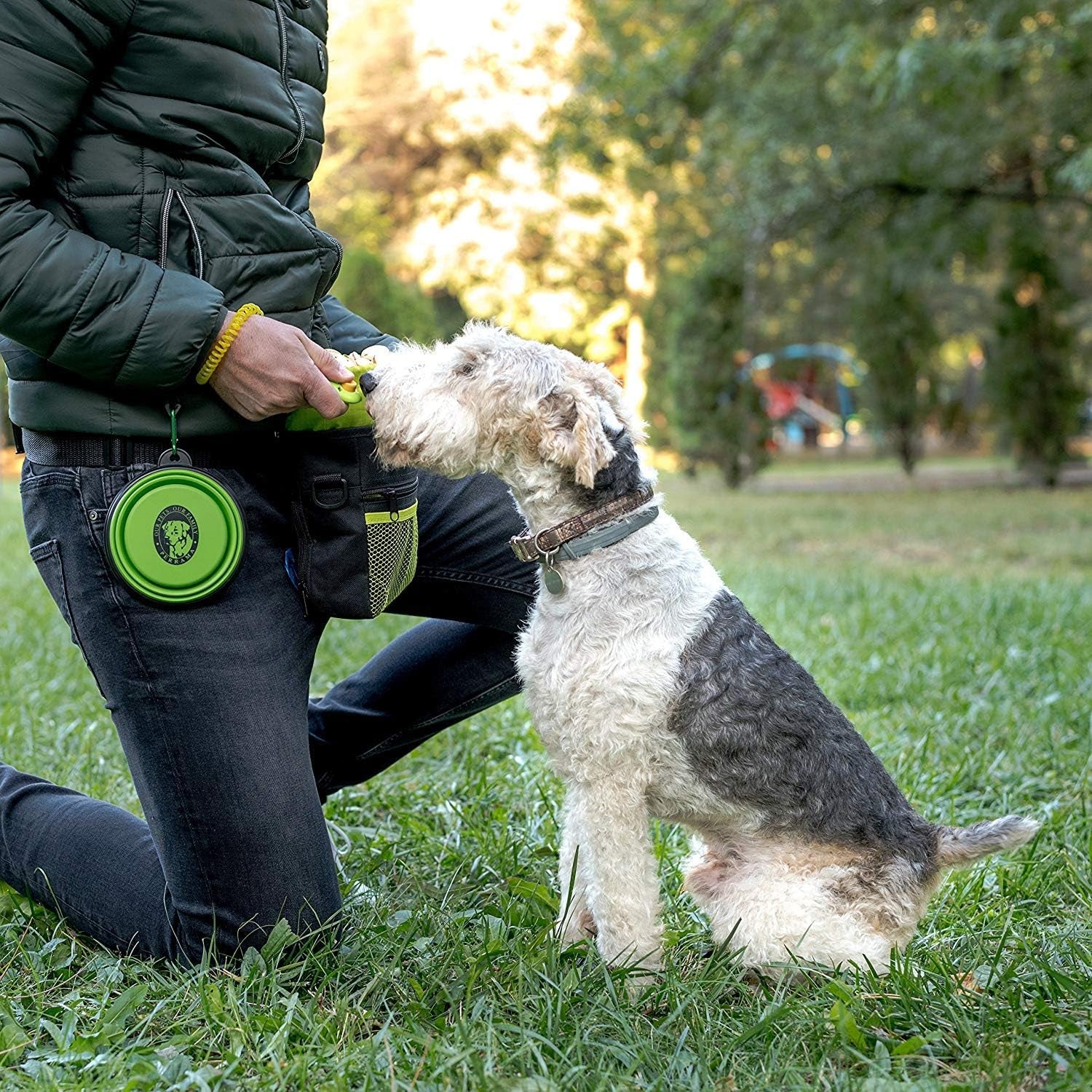 Ultimate Dog Training Treat Pouch with Poop Bag Dispenser, Pro Clicker, Collapsible Bowl & Reflective Strap - Black/Green