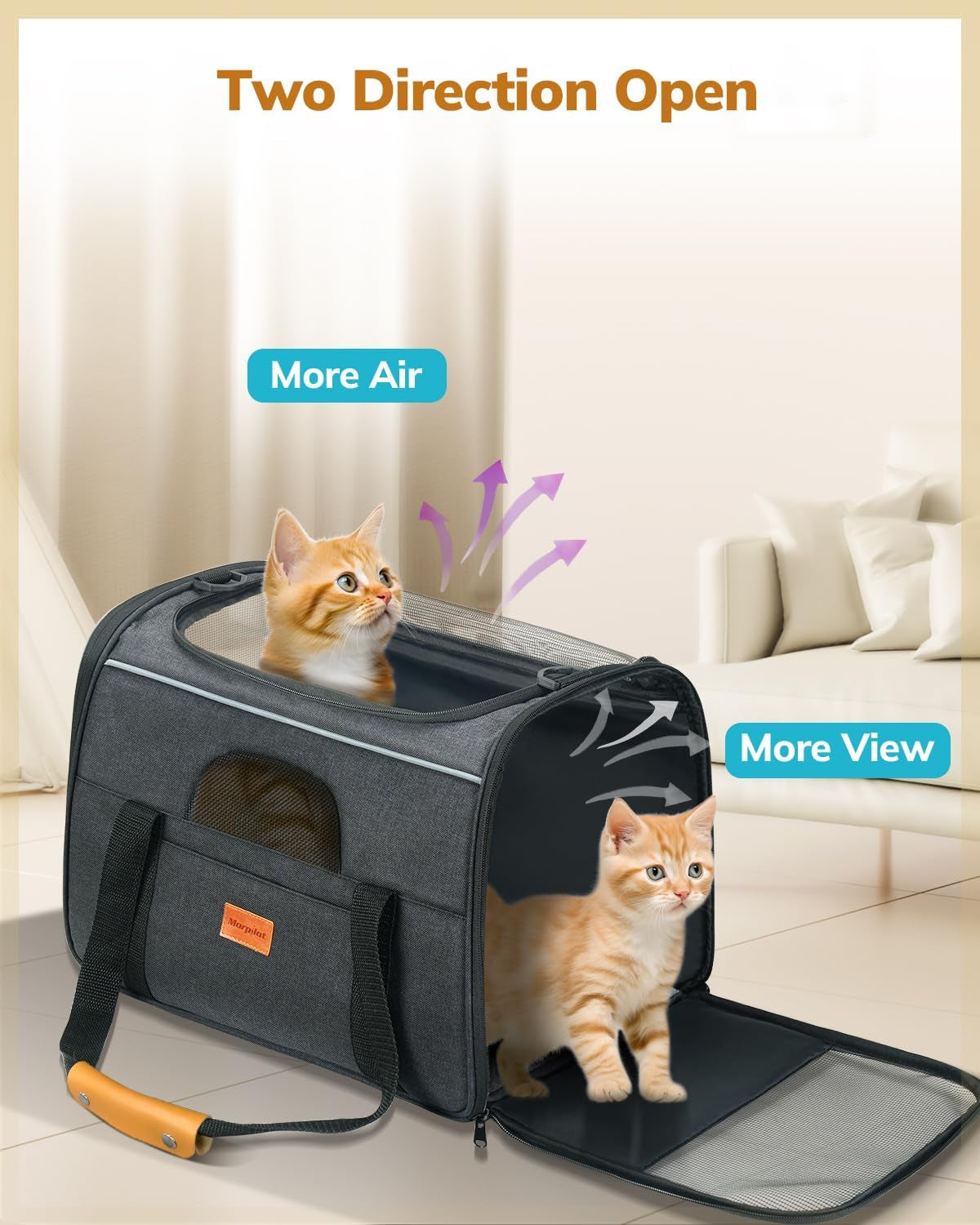 Soft Cat Carrier for Medium to Large Cats - Comfortable & Secure with Dual-Sided Cushion, Buckle & Foldable Bowl - Ideal for Small Dogs (Dark Gray)