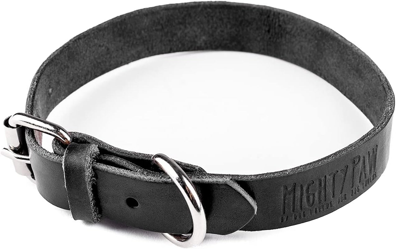 Genuine Distressed Leather Dog Collar - Stylish & Comfortable - Durable Metal Buckle - Perfect for All Breeds (Medium - Black)