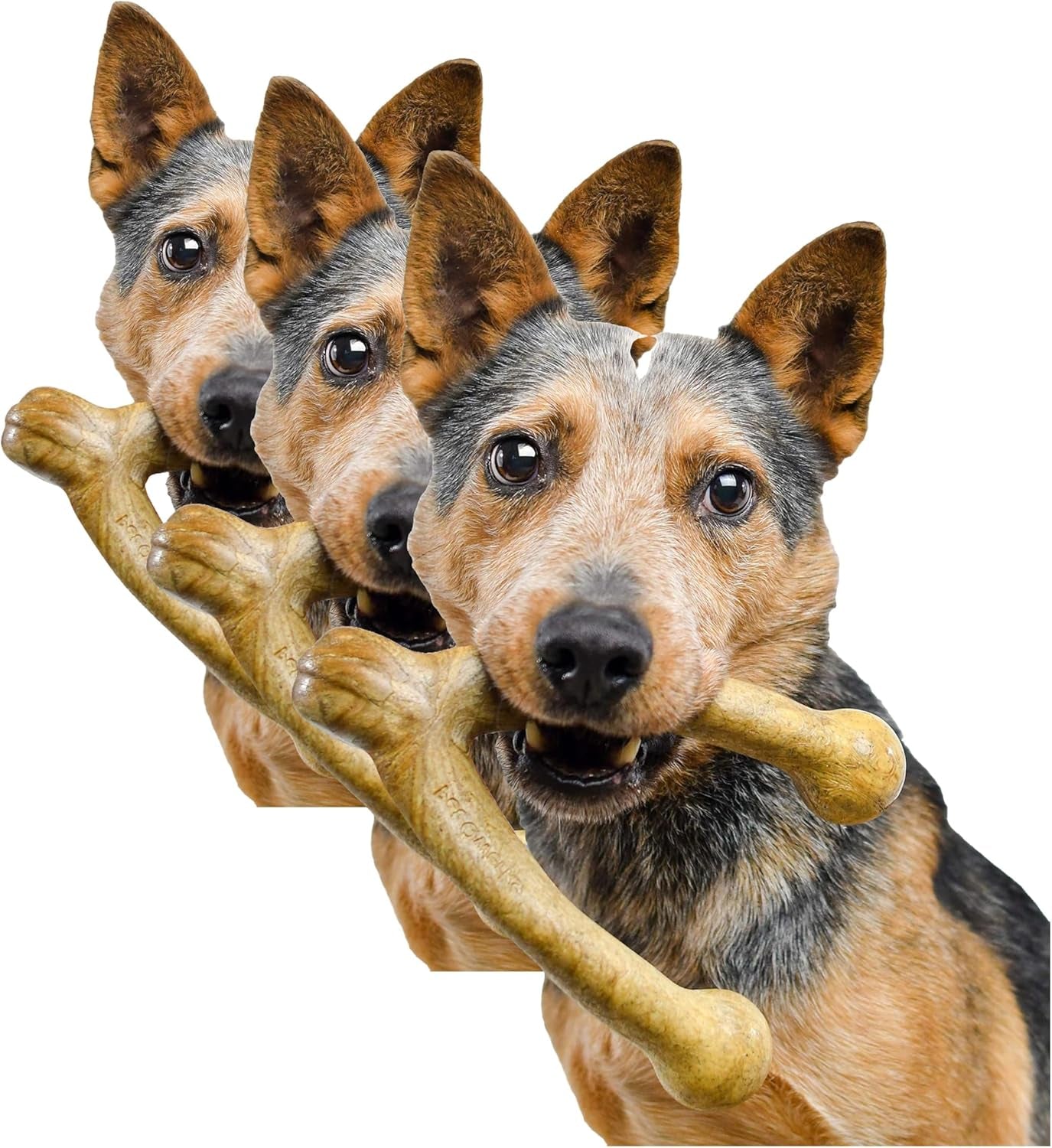Wishbone Barkbone - Durable Nylon Chew Toy for Aggressive Chewers - Irresistible Peanut Butter Flavor - 5.38