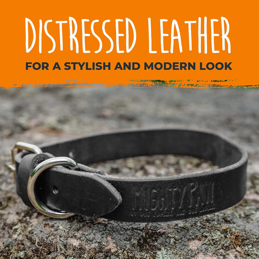 Genuine Distressed Leather Dog Collar - Stylish & Comfortable - Durable Metal Buckle - Perfect for All Breeds (Medium - Black)