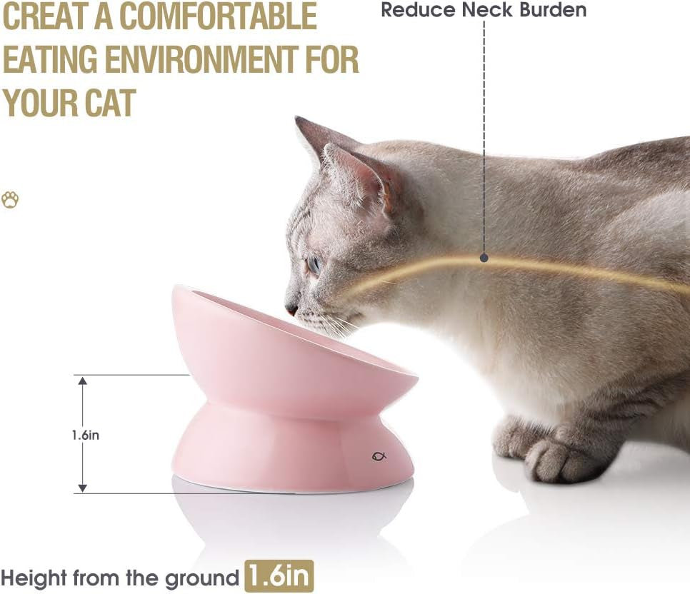 Elevated  Ceramic Cat Bowls - Slanted Design for Stress-Free Eating & Drinking, Protects Cat's Spine (Pink)